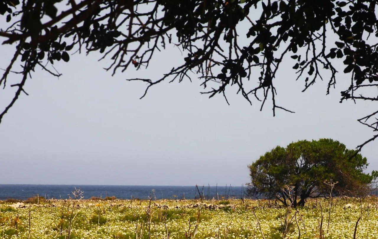 Appartamento Tonnara84 San Vito Lo Capo 0*,  Italia